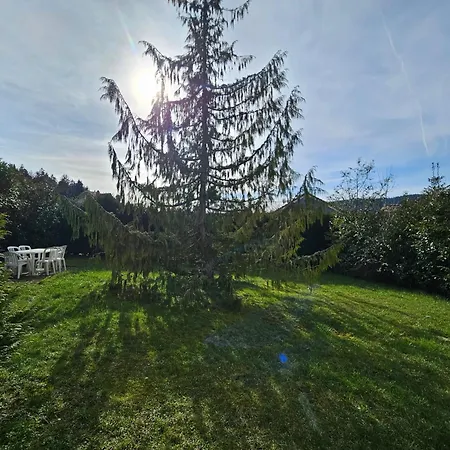 Apartment Chaleureux Proche Foret Gerardmer
